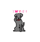 可愛いラブラドール犬（個別スタンプ：15）
