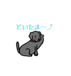 可愛いラブラドール犬（個別スタンプ：16）