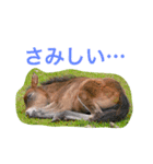 馬♡御崎馬  3（個別スタンプ：9）
