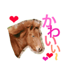 馬♡御崎馬  3（個別スタンプ：17）