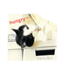 にゃんドル しらたま（個別スタンプ：5）