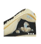にゃんドル しらたま（個別スタンプ：8）