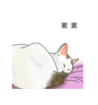 アメコ（個別スタンプ：1）