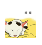 アメコ（個別スタンプ：2）