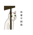アメコ（個別スタンプ：3）