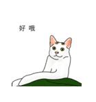 アメコ（個別スタンプ：5）