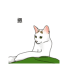 アメコ（個別スタンプ：6）