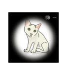 アメコ（個別スタンプ：8）