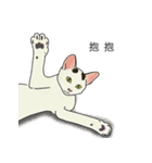 アメコ（個別スタンプ：10）