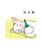 アメコ（個別スタンプ：11）