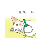 アメコ（個別スタンプ：12）