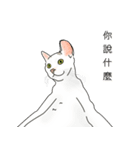 アメコ（個別スタンプ：14）