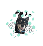 高木家のハル（個別スタンプ：4）