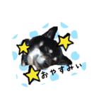 高木家のハル（個別スタンプ：5）