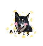 高木家のハル（個別スタンプ：7）