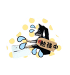 高木家のハル（個別スタンプ：8）