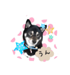高木家のハル（個別スタンプ：10）