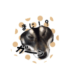 高木家のハル（個別スタンプ：11）