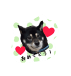 高木家のハル（個別スタンプ：15）