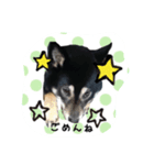 高木家のハル（個別スタンプ：16）