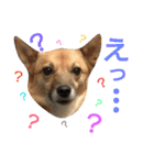 サクナナ（個別スタンプ：2）