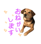 サクナナ（個別スタンプ：4）
