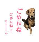サクナナ（個別スタンプ：5）