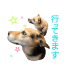 サクナナ（個別スタンプ：9）