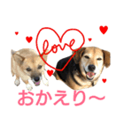 サクナナ（個別スタンプ：11）