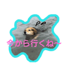 サクナナ（個別スタンプ：13）
