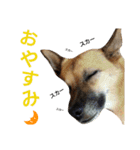 サクナナ（個別スタンプ：16）