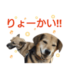 サクナナ（個別スタンプ：17）