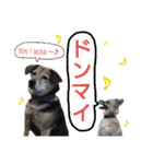 サクナナ（個別スタンプ：20）