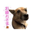 サクナナ（個別スタンプ：24）