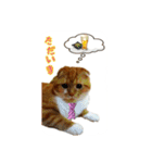 はるまる第3弾 ～夏の日の2017～（個別スタンプ：1）