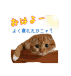 はるまる第3弾 ～夏の日の2017～（個別スタンプ：2）