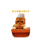 はるまる第3弾 ～夏の日の2017～（個別スタンプ：4）
