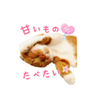 はるまる第3弾 ～夏の日の2017～（個別スタンプ：5）