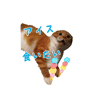 はるまる第3弾 ～夏の日の2017～（個別スタンプ：6）