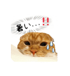 はるまる第3弾 ～夏の日の2017～（個別スタンプ：7）