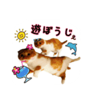 はるまる第3弾 ～夏の日の2017～（個別スタンプ：9）