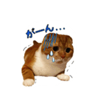 はるまる第3弾 ～夏の日の2017～（個別スタンプ：13）