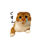 はるまる第3弾 ～夏の日の2017～（個別スタンプ：14）