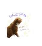 はるまる第3弾 ～夏の日の2017～（個別スタンプ：16）
