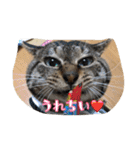 のりとらじるしvol.3（個別スタンプ：3）