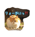 のりとらじるしvol.3（個別スタンプ：5）
