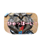 のりとらじるしvol.3（個別スタンプ：8）
