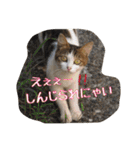 のりとらじるしvol.3（個別スタンプ：9）