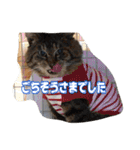 のりとらじるしvol.3（個別スタンプ：14）