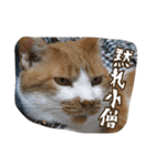 のりとらじるしvol.3（個別スタンプ：15）